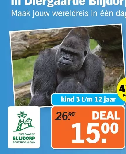 zoo - Diergaarde Blijdorp