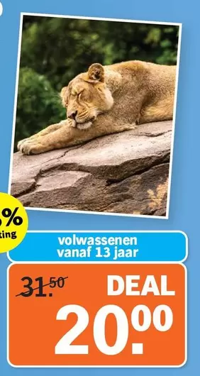 volwassenen vanaf 13 jaar