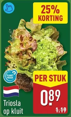 Op - Triosla op kuit