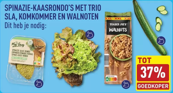 plant - SPINAZIE-KAASRONDO'S MET TRIO SLA, KOMKOMMER EN WALNOTEN