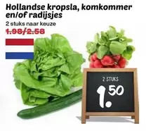 Hollandse kropsla, komkommer en/of radijsjes