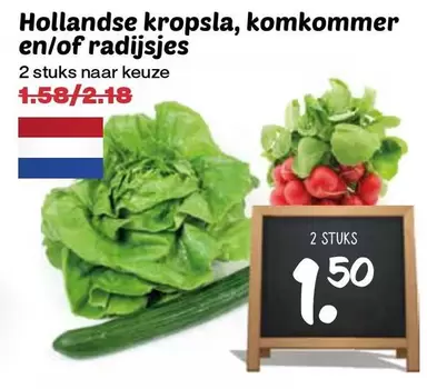 Hollandse kropsla, komkommer en/of radijsjes