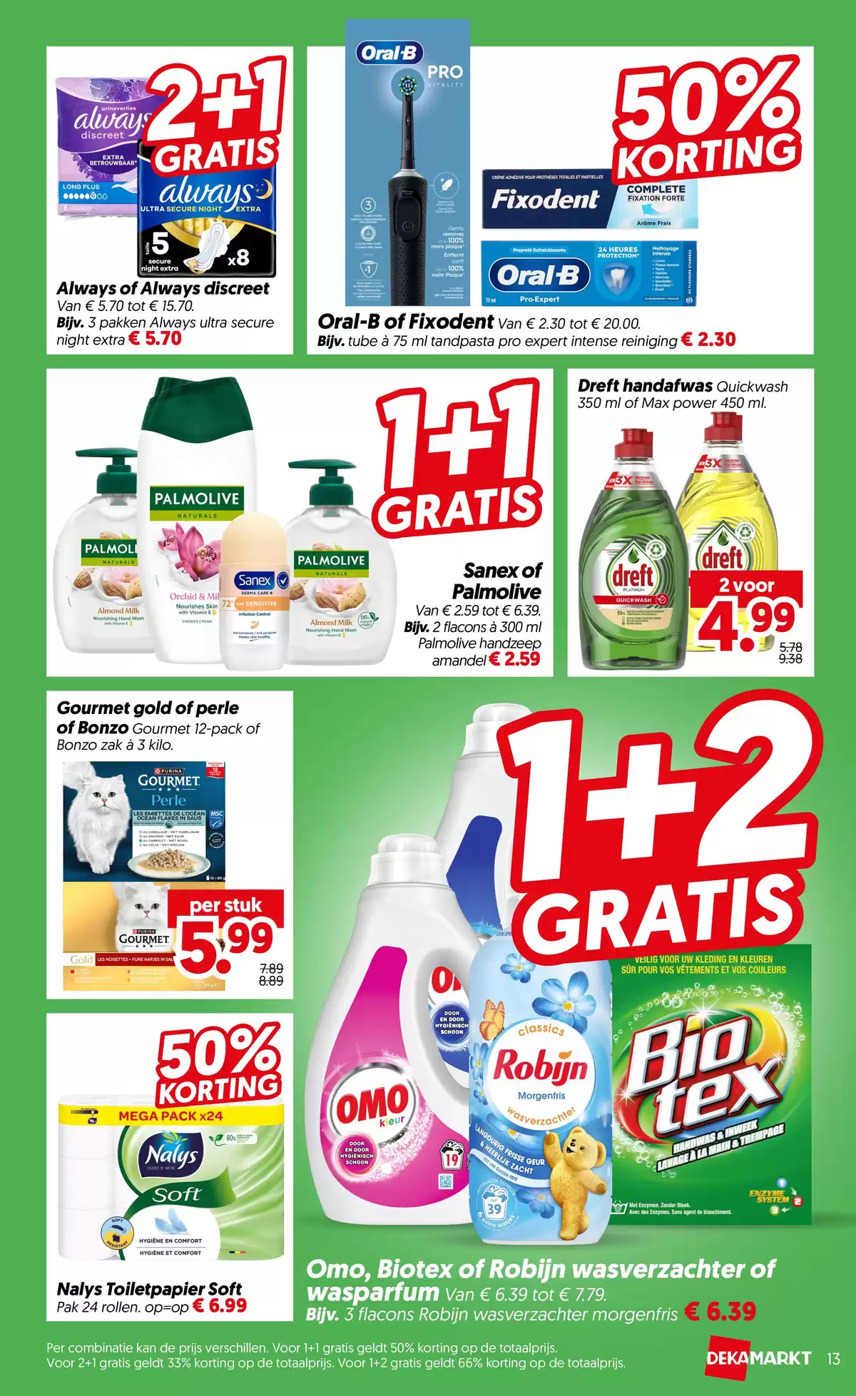 Pagina 13