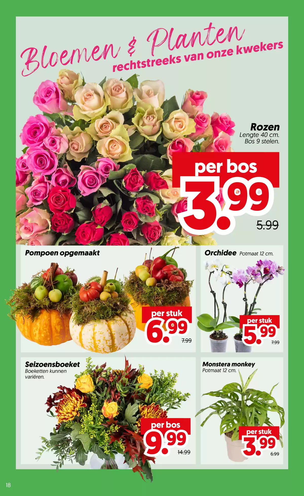 Pagina 18