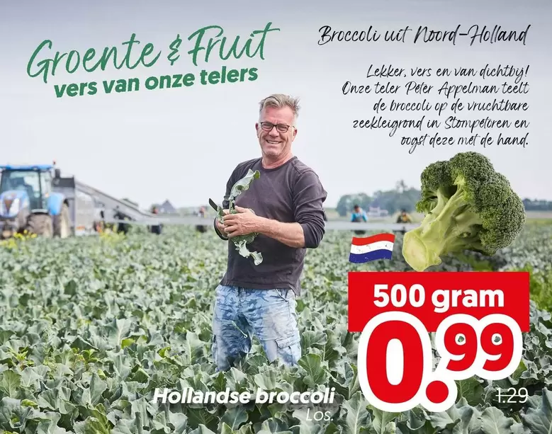 De - Hollandse broccoli