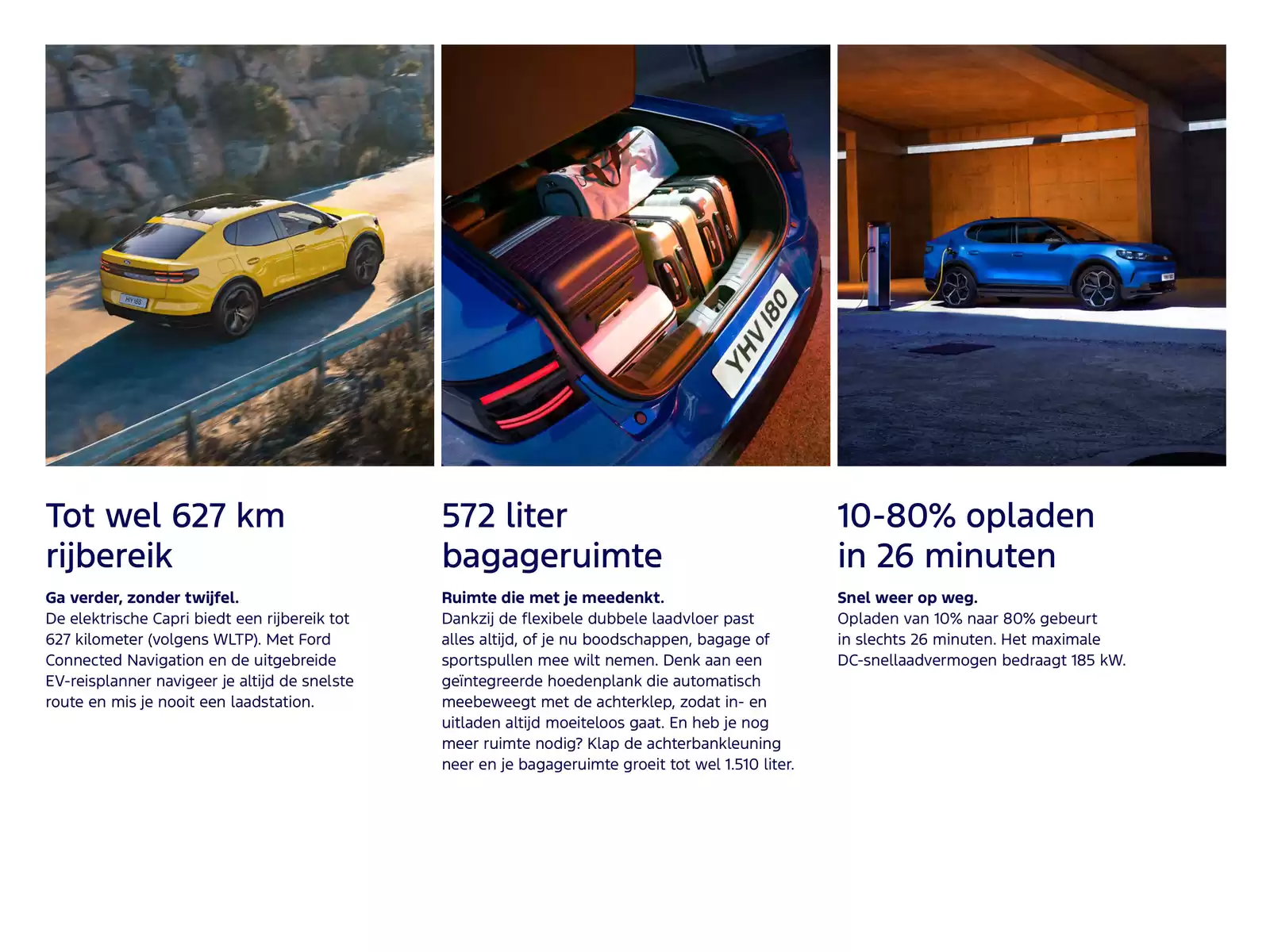 Pagina 8