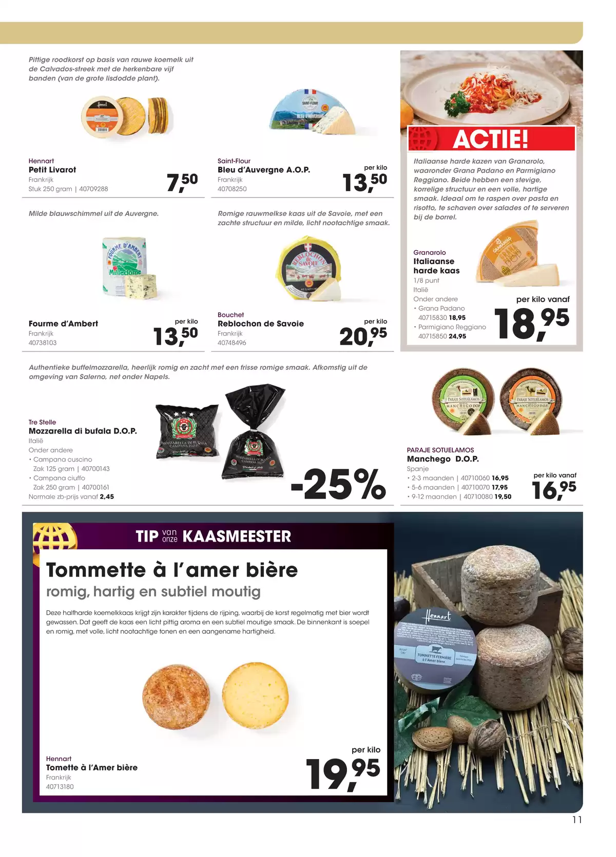 Pagina 11