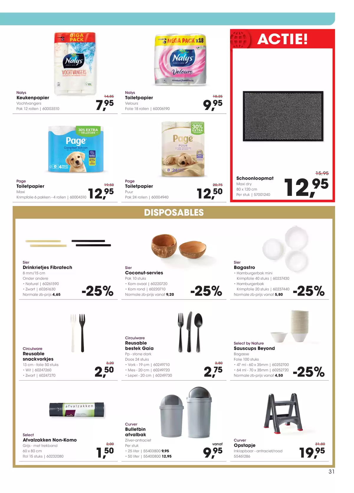 Pagina 31