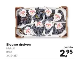 Blauwe druiven