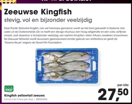 De - Kingfish yellowtail zeeuws