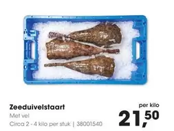 Zeeduivelstaart 38001540