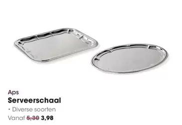 Serveer schaal
