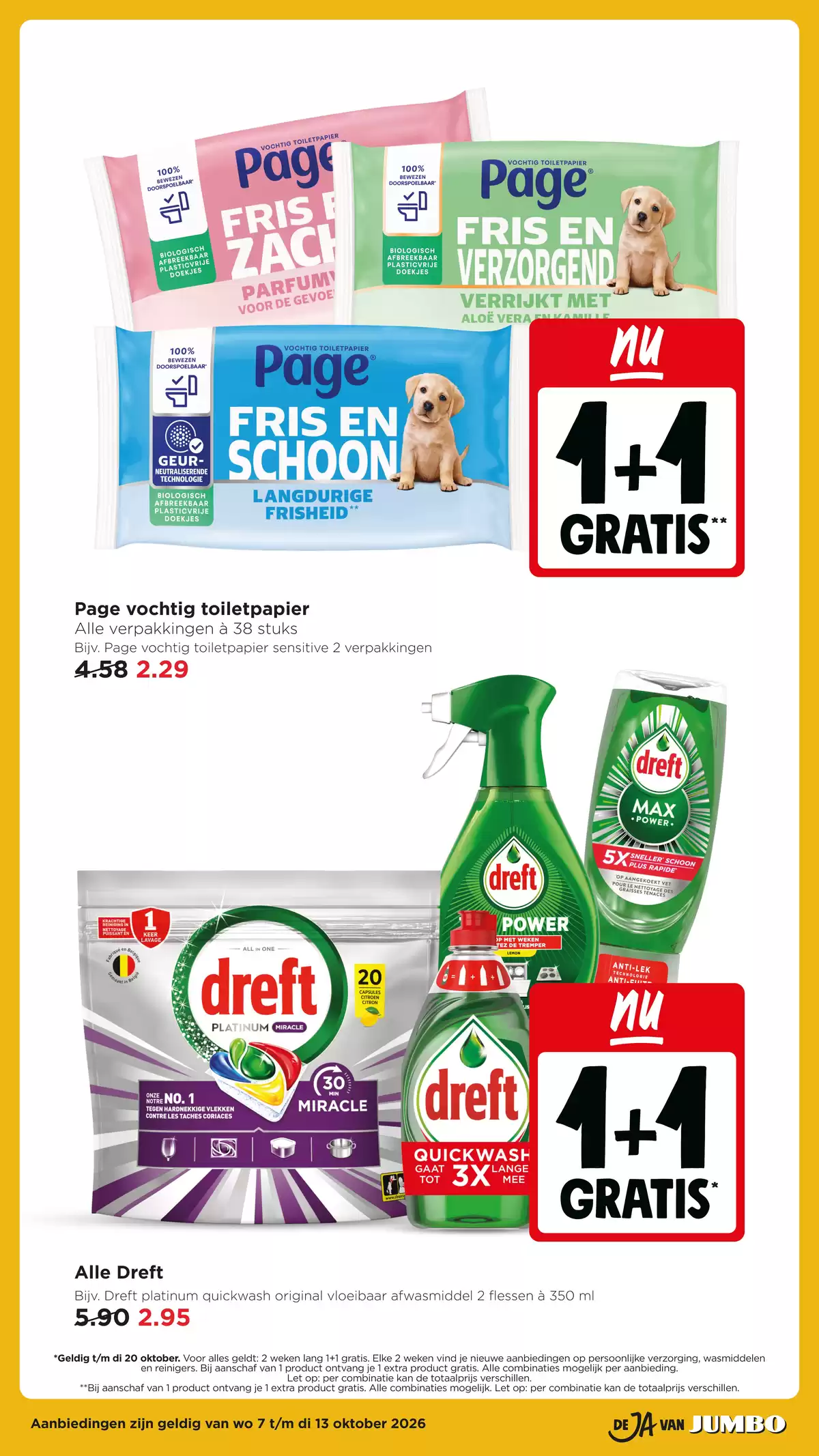 Pagina 43