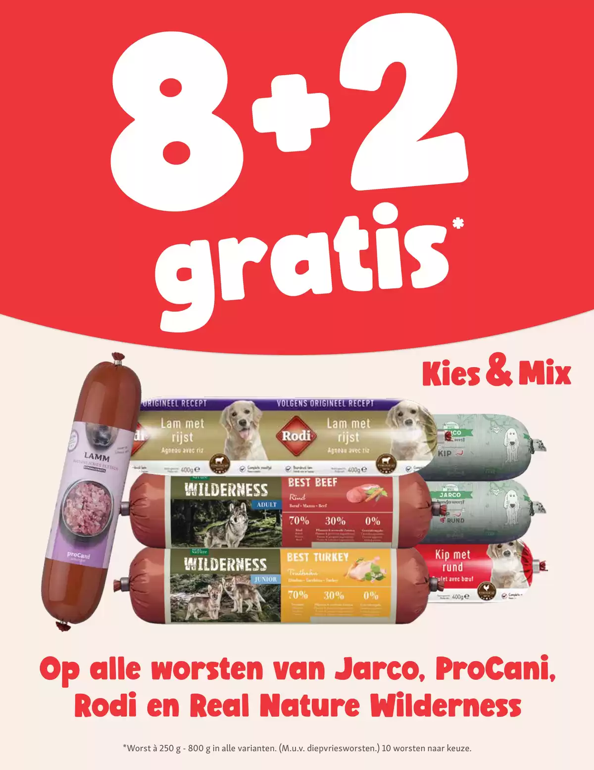 Pagina 6