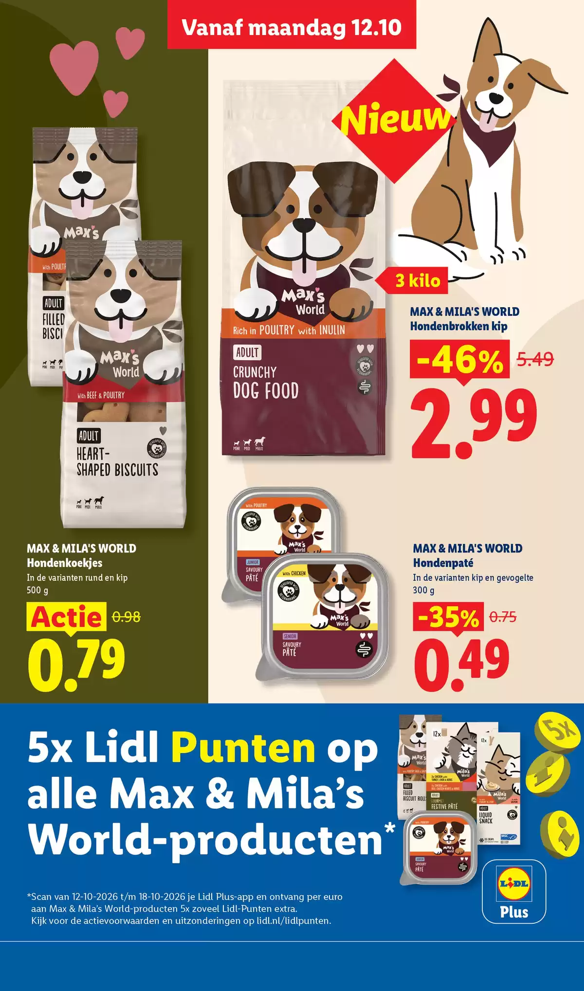 Pagina 19