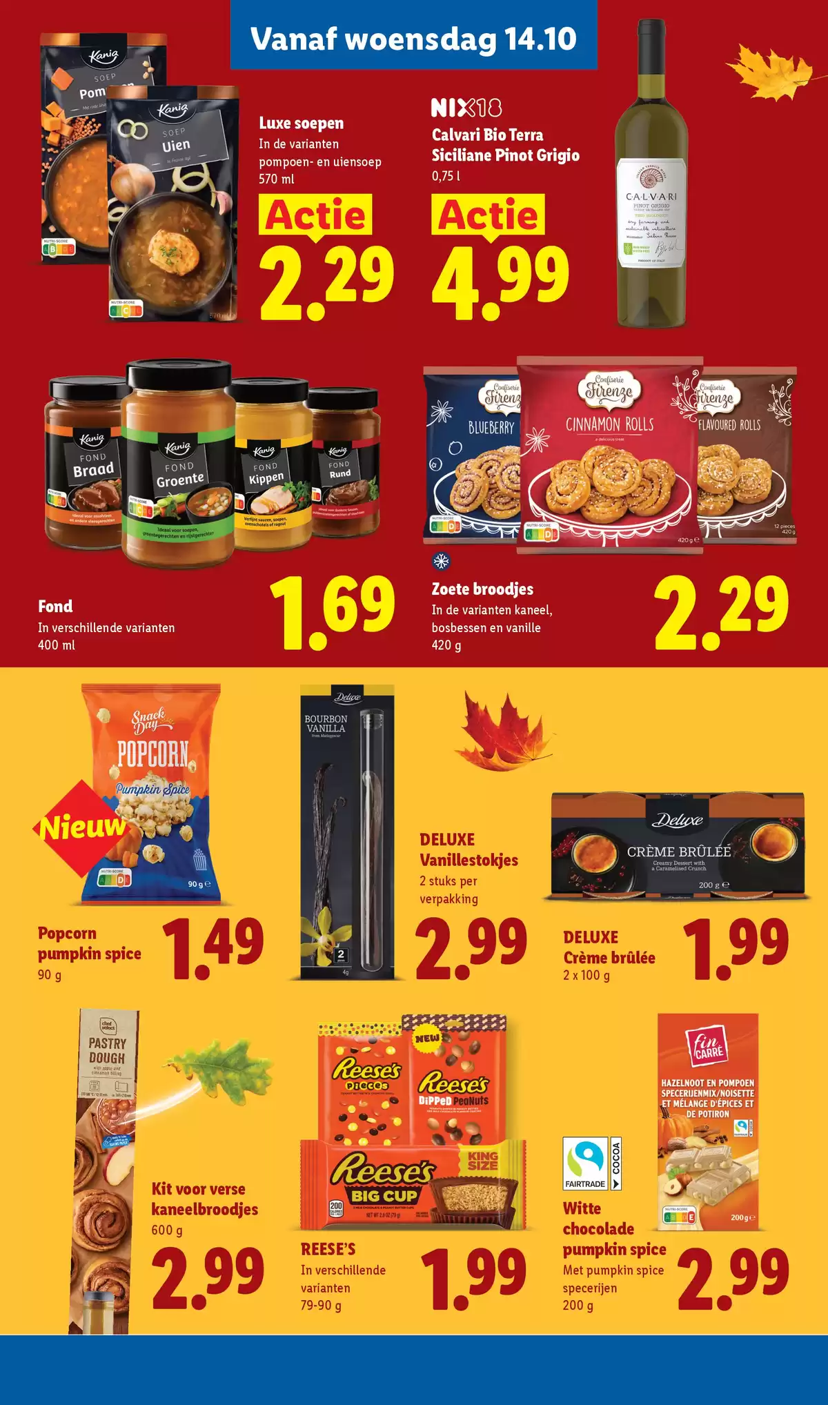 Pagina 21
