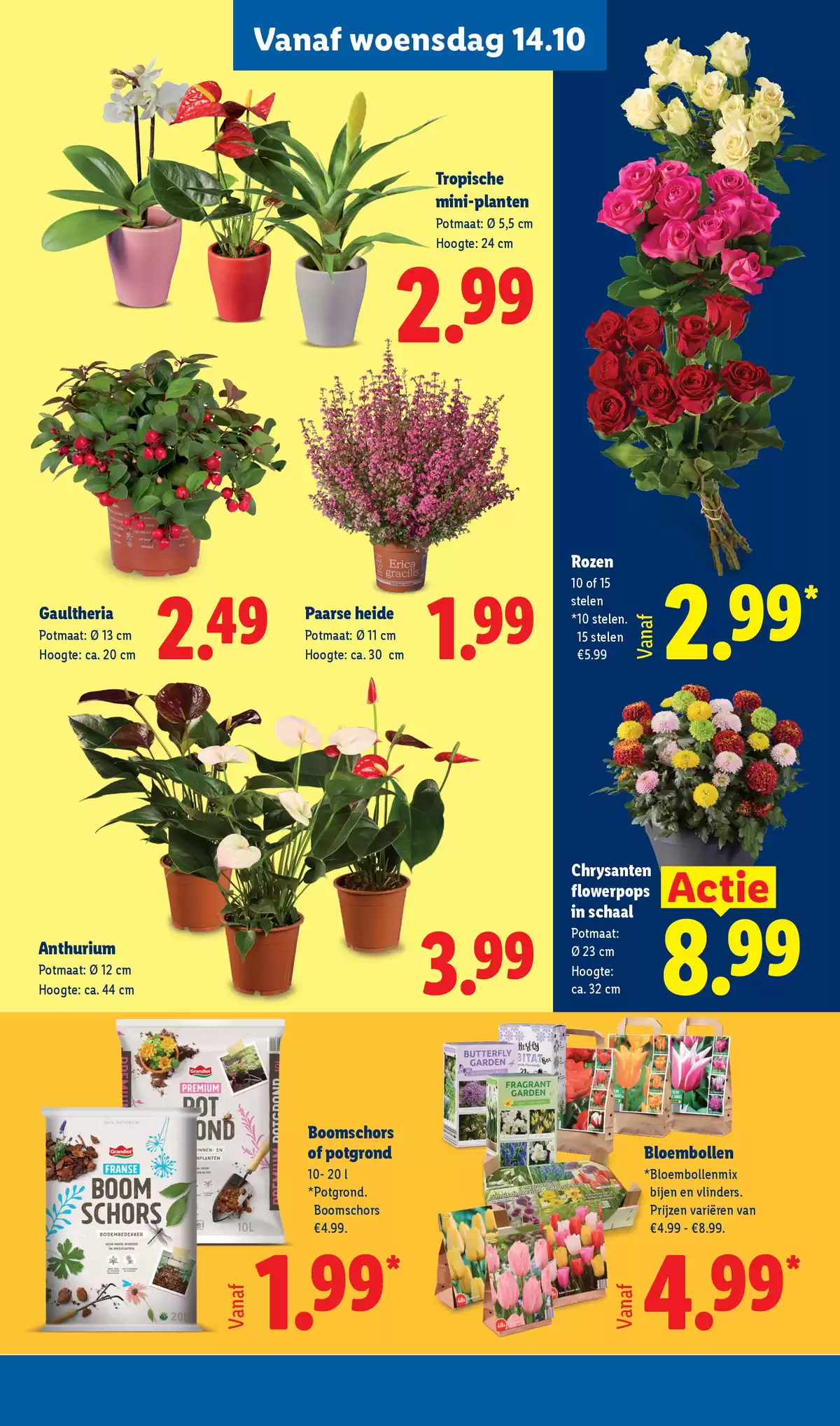 Pagina 25