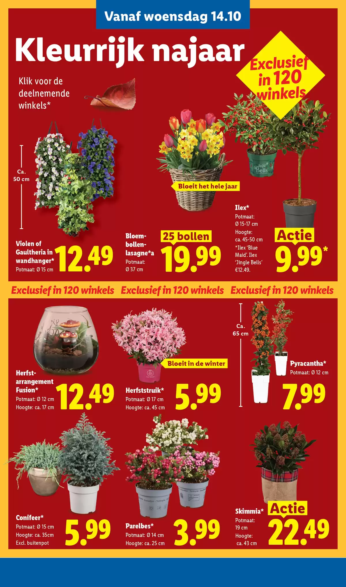 Pagina 26