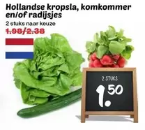 Hollandse kropsla, komkommer en/of radijsjes