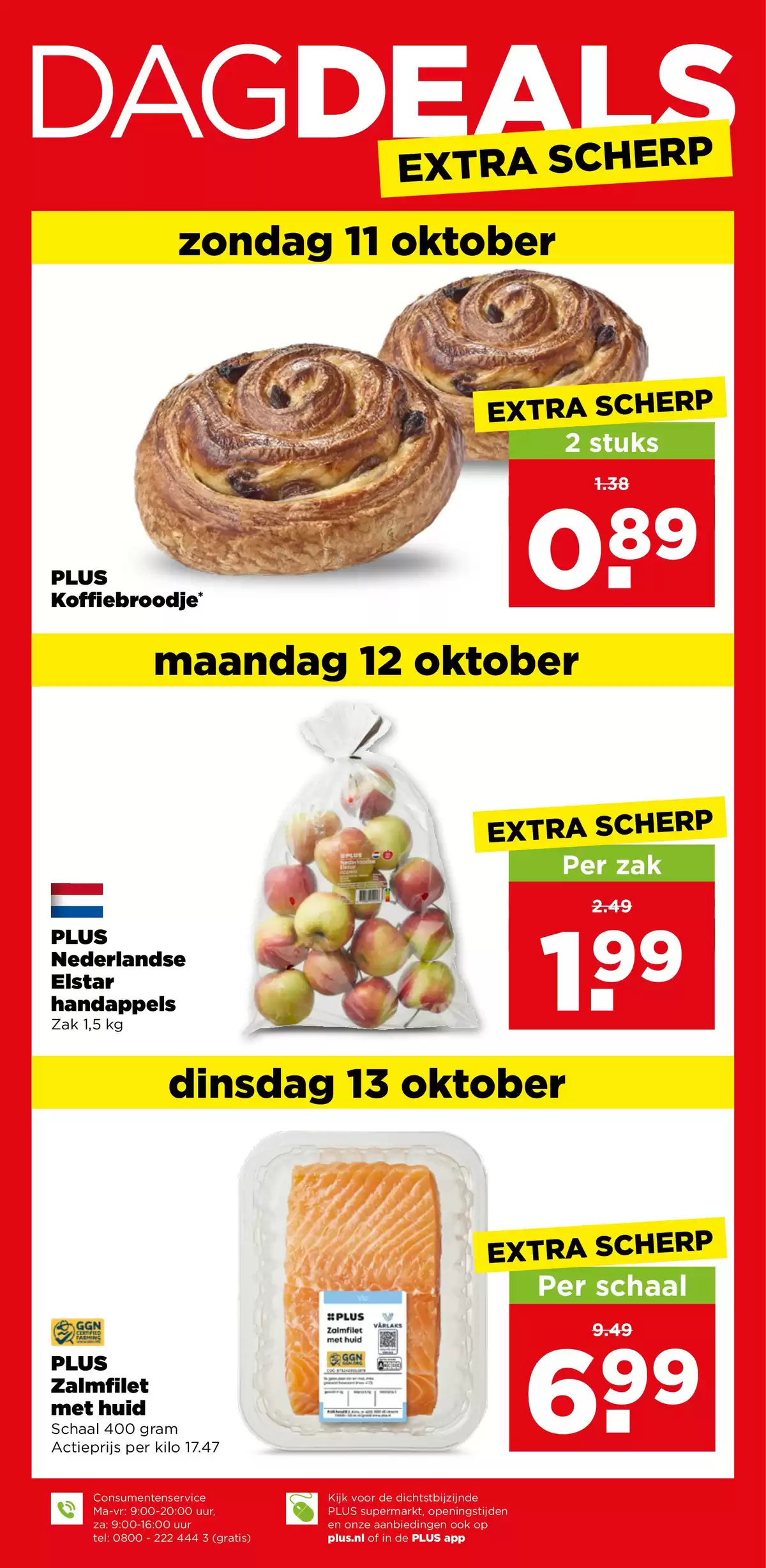 Pagina 41