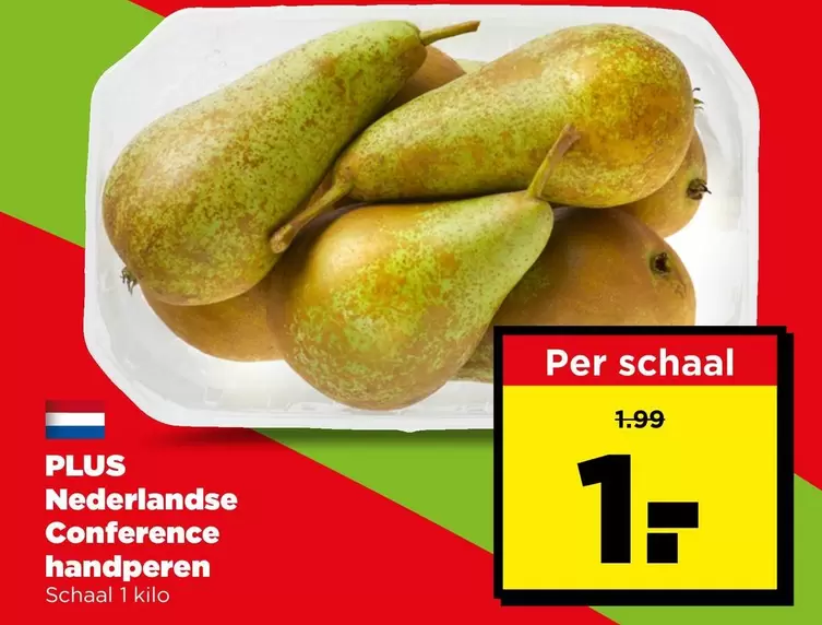 Nederlandse Conference handperen