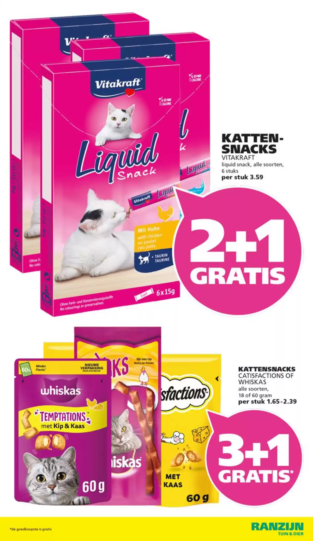 Pagina 11