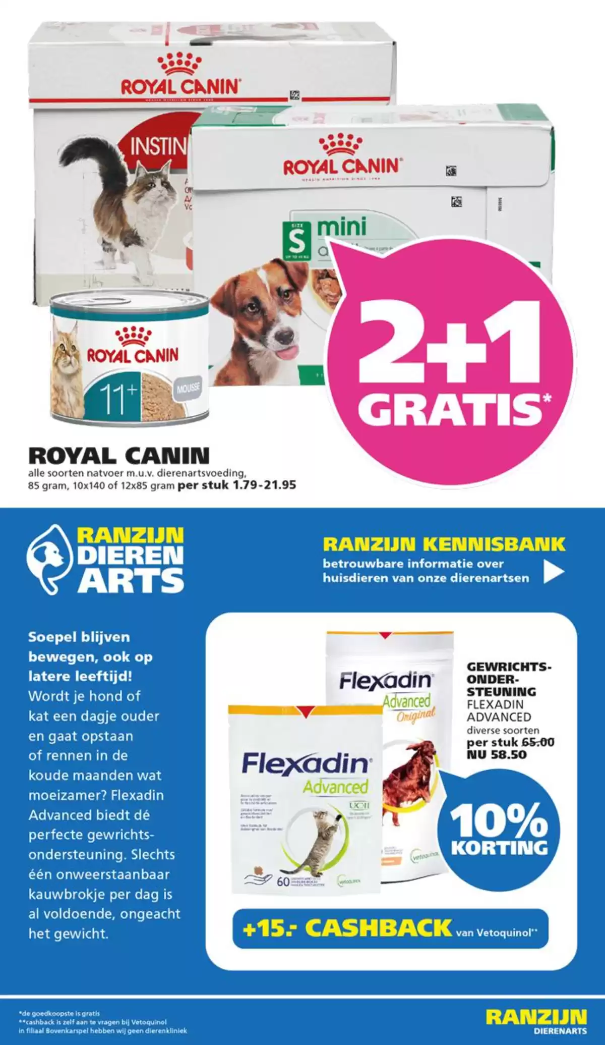 Pagina 8