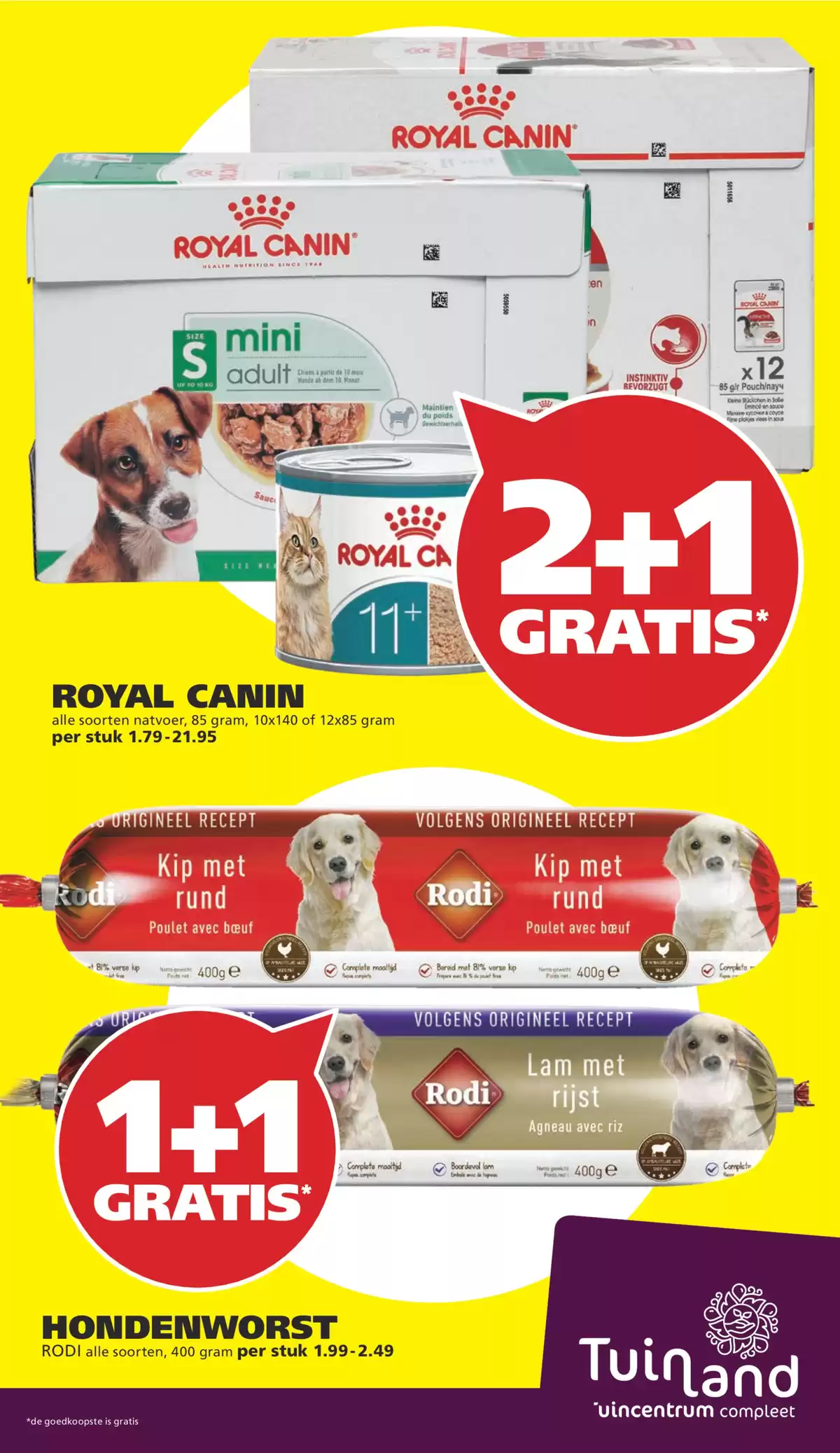 Pagina 6