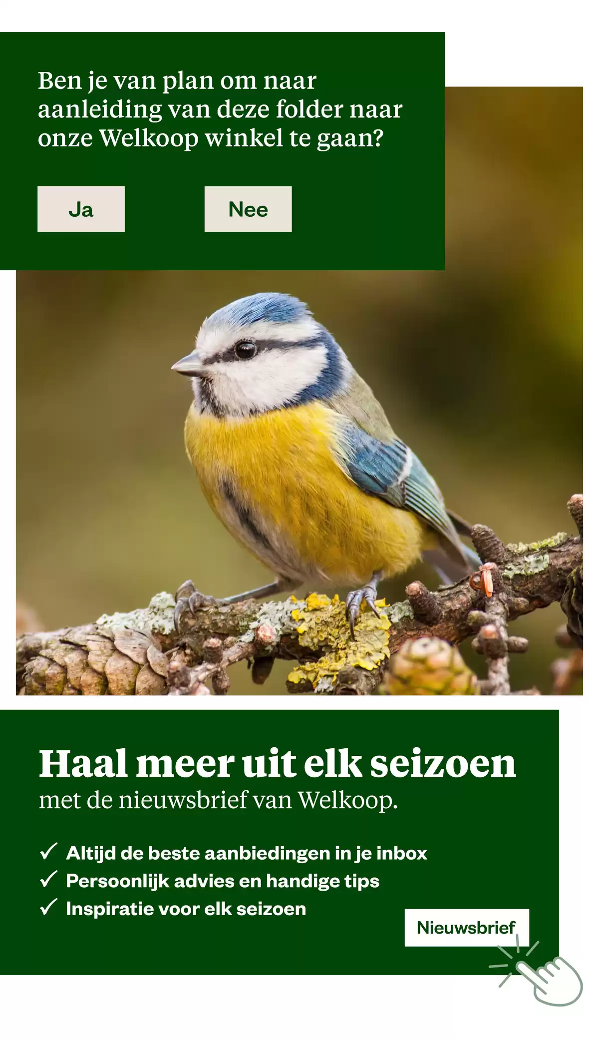 Pagina 42